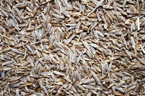 Cooking with Cumin – Recette Magazine