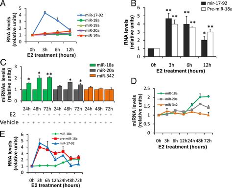 The Estrogen Receptor α Induced Microrna Signature Regulates Itself And