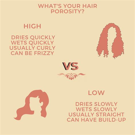 What Does Having Low Porosity Hair Mean Organigrowhairco
