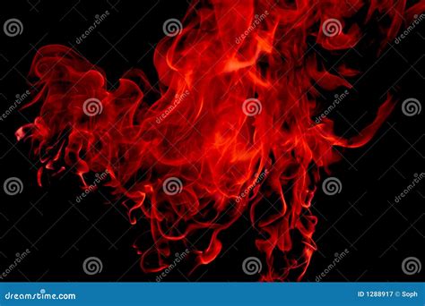 Red flame stock image. Image of ablaze, abstrack, bonefire - 1288917