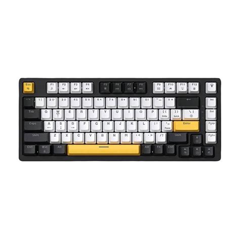 Zifriend T Keys Mechanical Keyboard RGB Backlit Hot Swappable White And Black Vibe