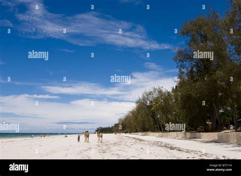 Diani Beach Mombasa Hi Res Stock Photography And Images Alamy