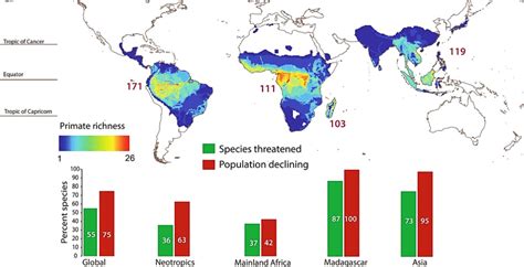 Global Primate Species Richness Distributions And The Percentage Of