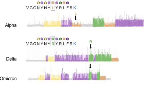 The Protein Sequencing Company™ | Quantum-Si