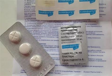 Каниквантел для собак: инструкция и применение, стоимость, отзывы