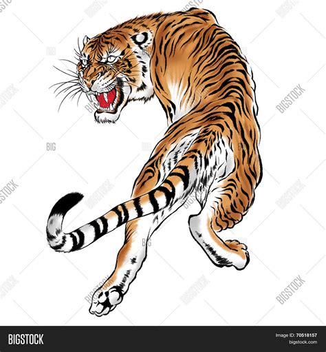Japanese Tiger Drawing
