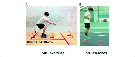 Schematic description of the two hurdle jump exercise protocols. (A ...