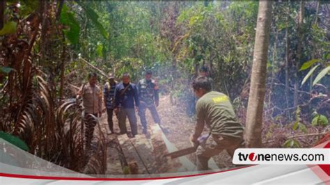 Berikan Efek Jera Ke Pelaku Illegal Logging Tim Patroli Gabungan