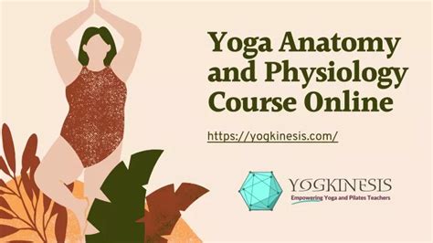 PPT Yoga Anatomy And Physiology Course Online PowerPoint Presentation