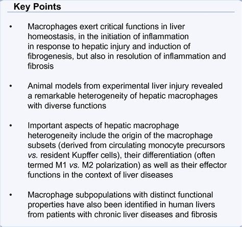 Macrophage Heterogeneity In Liver Injury And Fibrosis Journal Of