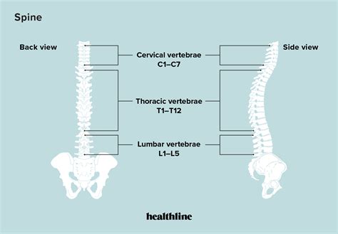 severe upper  pain  women infoupdateorg