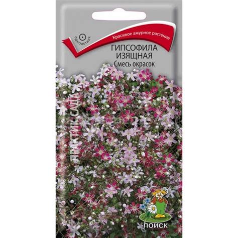 Гипсофила изящная Смесь окрасок | Plants, Red peppercorn, Condiments
