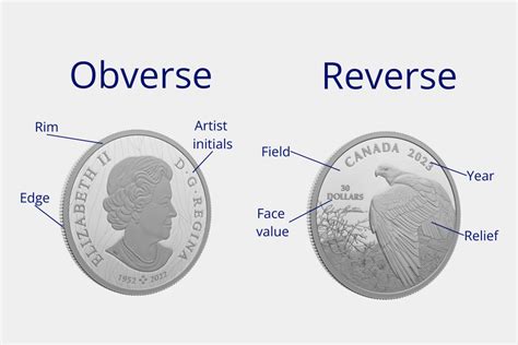 Anatomy Of A Coin Sprott Money Collectibles