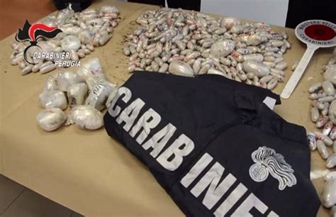 Vasta Operazione Anticrimine Anche In Provincia Di Latina Sequestra Droga Per 15 Milioni Di Euro