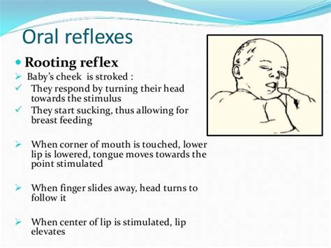 Rooting Reflex Nursing School Survival Nursing School Notes Nursing