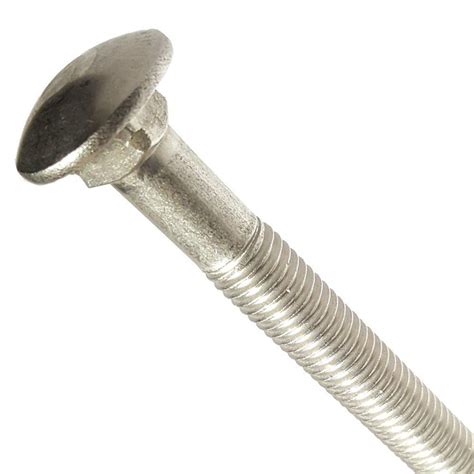 Fastenere - 1/4-20 x 8" Carriage Bolts Stainless Steel Partially ...