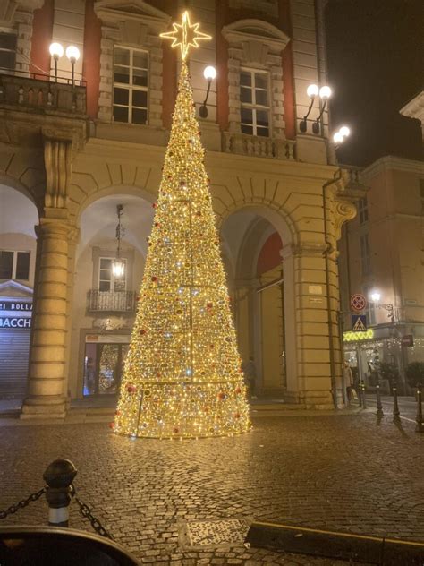 Alessandria Accende Il Natale E Il Suo Albero AlessandriaNews