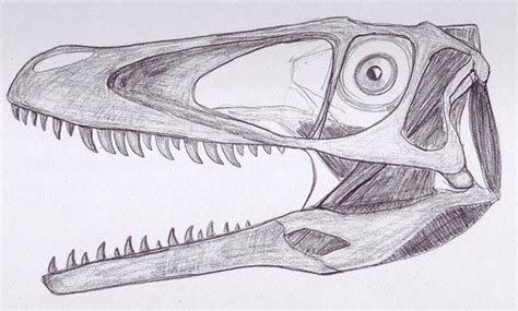 More On Jaw Muscle Reconstructions