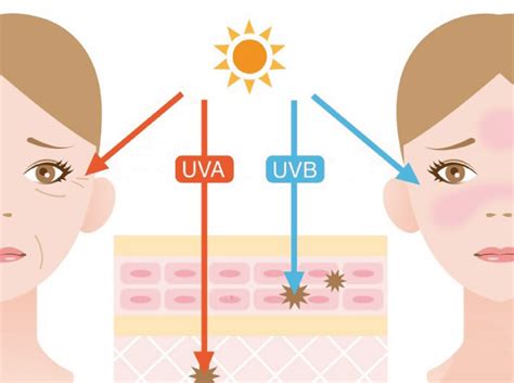 Что значит SPF в косметике