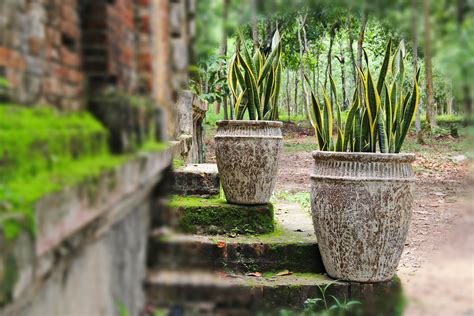 Vietnam Ceramics Vietnam Pottery Exporter Ancient Pottery Garden Pot