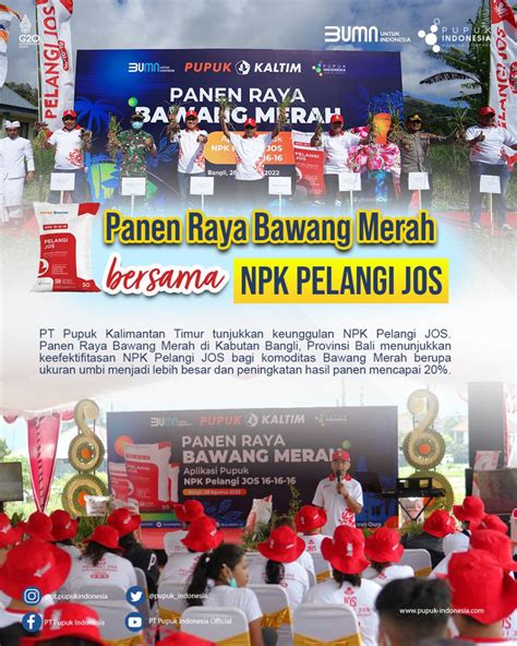 Pt Pupuk Indonesia On Twitter Dengan Npk Pelangi Jos Panen Raya