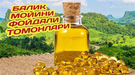 Балик мойининг фойдаси - YouTube