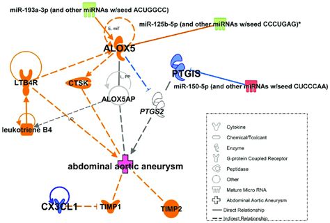 Ingenuity Pathway Analysis (IPA) showed predicted interactions between ...