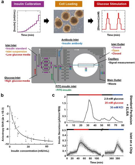 [DIAGRAM] Peugeot 106 Wiring Diagram Pdf - MYDIAGRAM.ONLINE