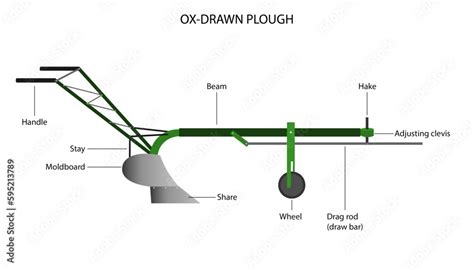 Diagram Of An Ox Drawn Plough With Labelled Parts Stock Vector Adobe