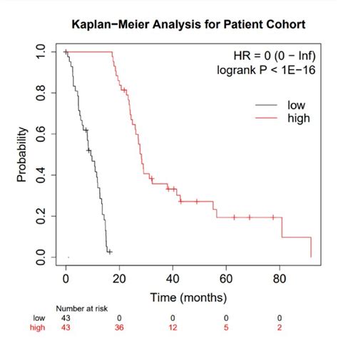 Kaplan Meier Curve Comparing The Two Patient Subgroups Low Surviving