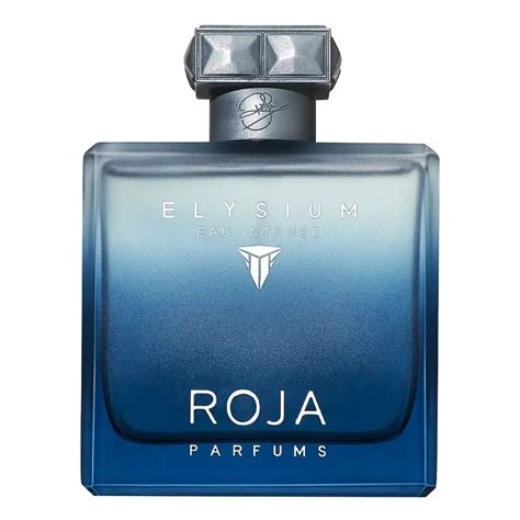 Roja Elysium Eau Intense 100ML – Niche Gallery