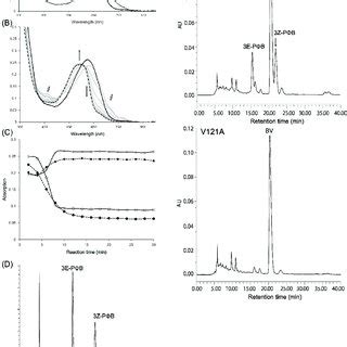 Enzymatic Assay Of Tomato P B Synthase A The UV Visible Spectrum Of