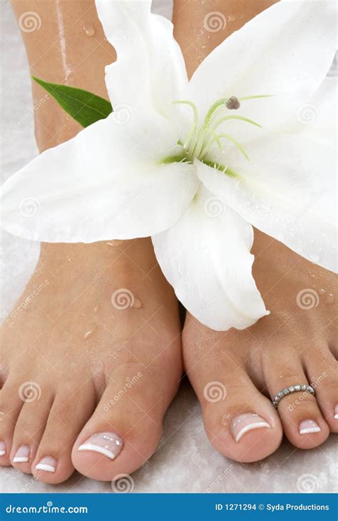 Lily Stock Photo Image Of Clean Naked Healthy Nice