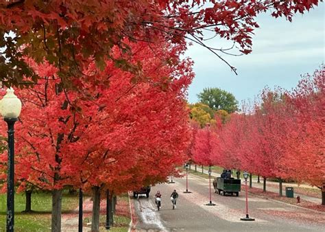 Fall Colors On Mackinac Island The Sun Times News