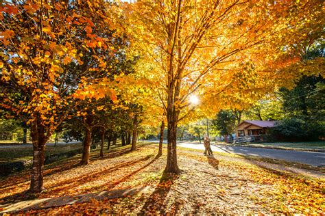 Hot Springs National Park To Host Hike To Health Arkansas Outside