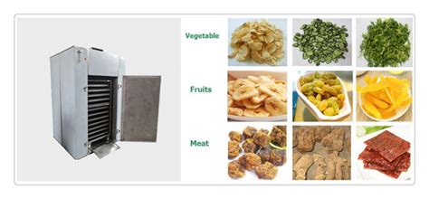 Small Hot Air Food Dryer Machine As Vegetable Fruit Drying Machine