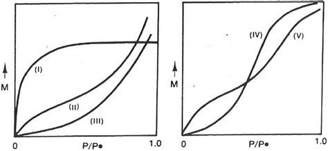 Types of moisture sorption isotherm for food. Source: Rizvi [6 ...