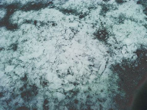 Peach Fuzz by cyimang on DeviantArt