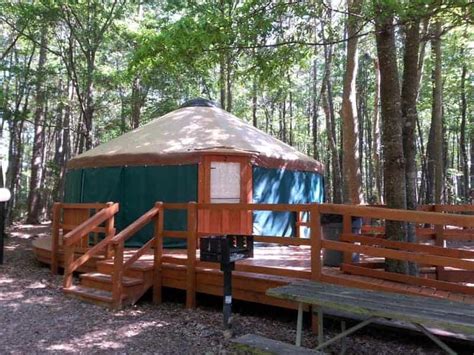 Flamingo Lake RV Resort in Jacksonville Florida FL | Campground Views