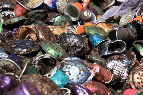 home compostable coffee pods  echo