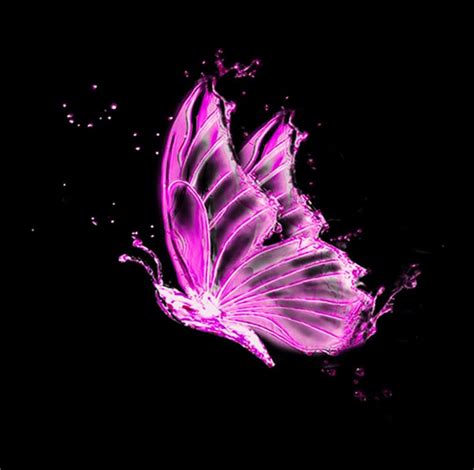 Neon Pink Butterfly Wallpaper