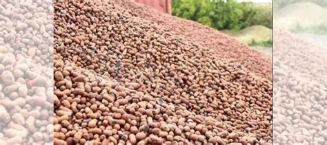 Керамзит купить в Иркутске | Товары для дома и дачи | Авито