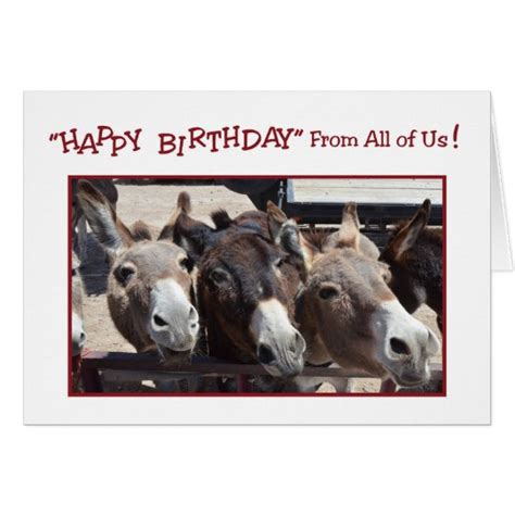 Humorvoller Esel Gruppen Geburtstag Von Allen Uns Karte Zazzle