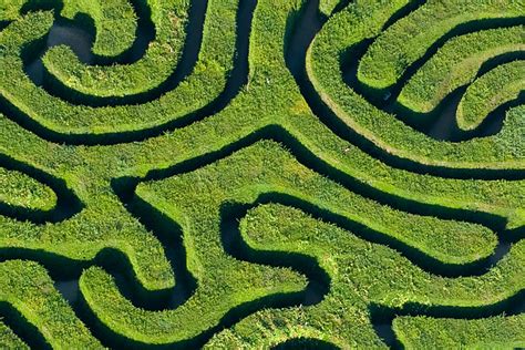 Longleat Safari Park - Attractions | West Dorset Leisure Holidays