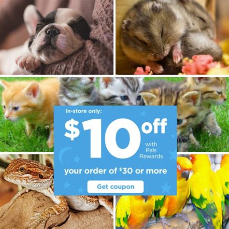 Petco Promo Code 2024 Berthe Rafaelita