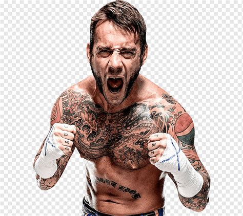 Cm Punk Ultimate Fighting Championship Campeonato Da Wwe Dinheiro Na