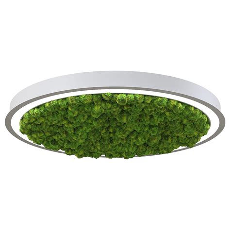 Декоративный светильник с мхом ФитоЛайт Скайлайт | ФИТОСТЕНА