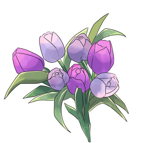 Cute Pink Purple Tulips, Cute, Purple, Tulips PNG Transparent Clipart Image and PSD File for ...