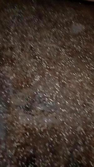 Watch Sure Sure Krackin Cam Porn SpankBang