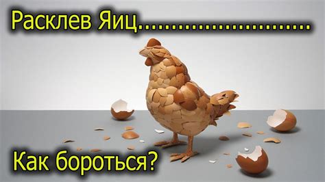 Курица клюет яйца - Что делать??? - YouTube